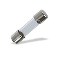 DSC DSC FUSE1A 1A biztosíték