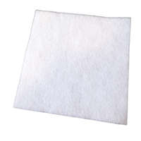 Motorvédő szűrő ELECTROLUX EasyGo EEG41IW porszívóhoz