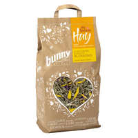 bunnyNature bunnyNature my favorite Hay from nature conservation meadows SUNFLOWER & MALVA BLOSSOMS 100g