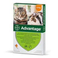 Bayer Advantage 40 nyúl/macska spot on 4kg alatt 4x