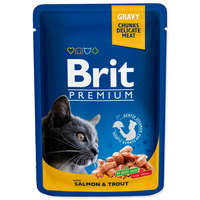 BRIT BRIT PREMIUM CAT TASAK SALMON & TROUT 100G (293-100271)