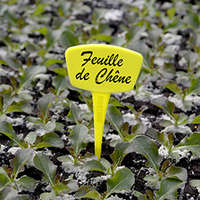  Label 15 cm-es, műanyag, sárga, leszúrható jelölőtábla növényhez, palántához (10 db) íves