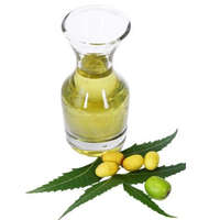 Bio neem olaj - 50 ml