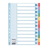 ESSELTE Regiszter, karton, A4, 12 részes, írható előlappal, ESSELTE "Standard", színes