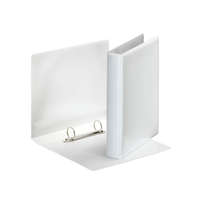 ESSELTE Gyűrűskönyv panorámás A5, 4,6cm, 2 gyűrű, D alakú, PP Esselte fehér