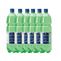 Salvus Salvus víz 1,5 liter (csak a boltunkban)