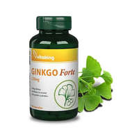 Vitaking Vitaking Ginkgo Biloba Forte 120 mg Ginko Forte