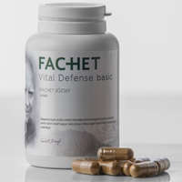  Dr Fachet Gyógygomba Vital Defense BASIC Eredeti 120 kapszula