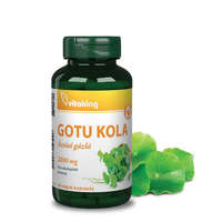 Vitaking Vitaking Gotu Kola kivonat 2000mg (60) vegán kapszula (Ázsiai gázló)