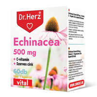 Dr Herz Echinacea 500 mg+C-vitamin+Szerves Cink kapszula 60 db