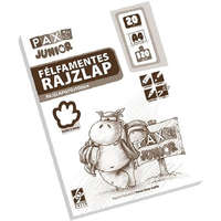 PAX Pax A4 120g félfamentes rajzlap