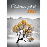 KALENDART Kalendart 2024-es T092 Colour Art falinaptár