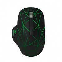  INCA IWM-551 Wireless mouse Black