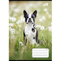 COOL BY VICTORIA Füzet, tűzött, A5, kockás, 32 lap, COOL BY VICTORIA "B&W dogs", "27-32"