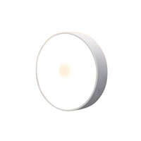 Mozgásérzékelős elemes lámpa