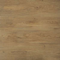 Cerrad Ragaya Beige 59,7x59,7x2cm padlólap