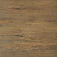 Cerrad Ragaya Brown 59,7x59,7x2cm padlólap