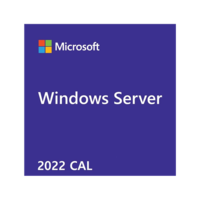 Microsoft-OEM Windows Server CAL 2022 English 1pk DSP OEI 5 Clt Device CAL