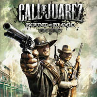 Ubisoft Call of Juarez: Bound in Blood (Digitális kulcs - PC)