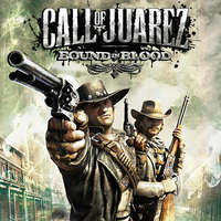 Ubisoft Call of Juarez: Bound in Blood (Digitális kulcs - PC)