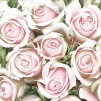 Javoli Rózsa Subtle Light Pink szalvéta 20 db-os 33x33 cm