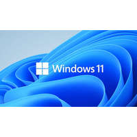 Microsoft Microsoft Windows 11 Pro 64bit HUN DVD