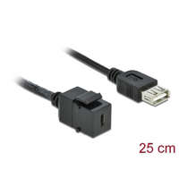 DeLock DeLock Keystone Module USB 2.0 C female > USB 2.0 A female with cable