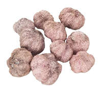 Corolla Exp-Imp. Kft Fokhagyma rózsaszín 2-4cm 10db/cs