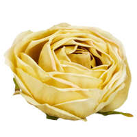 DC Rózsa fej 5,5cm - krém sárga