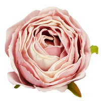 DC Rózsa fej 5,5cm - pasztell cirmos rózsaszín