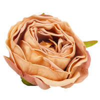 DC Rózsa fej 5,5cm - vintage barna