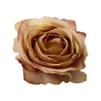 DC Rózsafej 4,5cm vintage barna