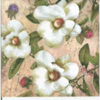  Szalvéta - Trois Magnolias Blanc