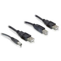 Delock Delock kábelszett, 2db USB-A - DC + USB-B 30cm