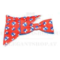 Gyerek csokornyakkendő szett - Ajándék