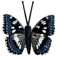  Csipeszes pillangó, sötétkék-fekete, 4,8x5 cm
