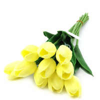  Krém-sárga tulipán 1 db