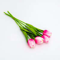  Magenta-rózsaszín tulipán 1 db