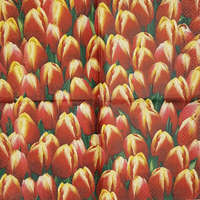 Szalvéta, tulipán, 25x25 cm (3)