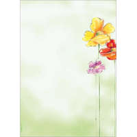 SIGEL Előnyomott papír, A4, 90g, SIGEL "Spring Flowers"