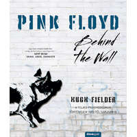 Hugh Fielder Pink Floyd - Behind The Wall