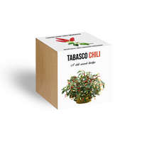  Tabasco chili paprika növényem fa kockában, Tabasco chili paprika növényem fa kockában