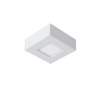 Lucide Lucide Brice fehér LED fürdőszobai mennyezeti lámpa (LUC-28117/11/31) LED 1 izzós IP44