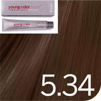 Revlon Young Color Excel hajszínező 5.34