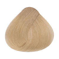 ALFAPARF Milano Alfaparf Evolution hajfesték 60ml 10.31