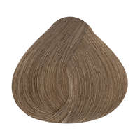 ALFAPARF Milano Alfaparf Evolution hajfesték 60ml 8.13