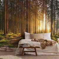 Consalnet Fenyőerdő mintás fotótapéta 104x70,5cm