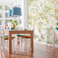 Komar Daisies fotótapéta