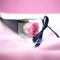 Fürcsi.hu Egy szál szappanvirág - Pink Rózsa