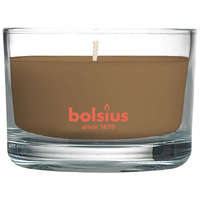 Gyertya bolsius Jar True Scents 50/80 mm, fahéj/alma